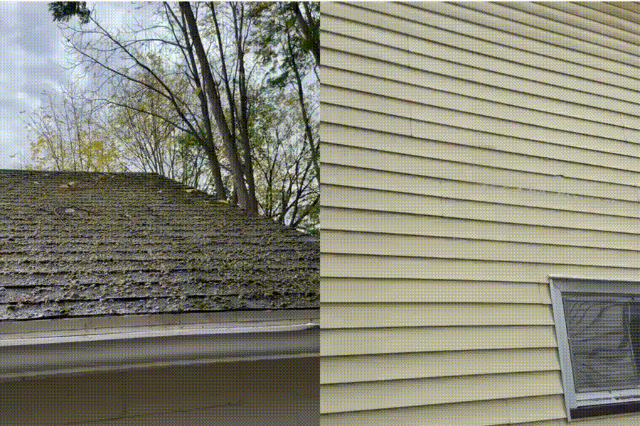 Soft Washing Service